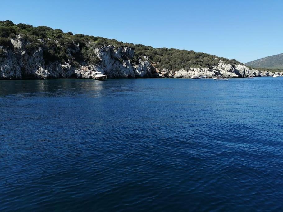 Palau Del Corso Lejlighed Alghero Eksteriør billede