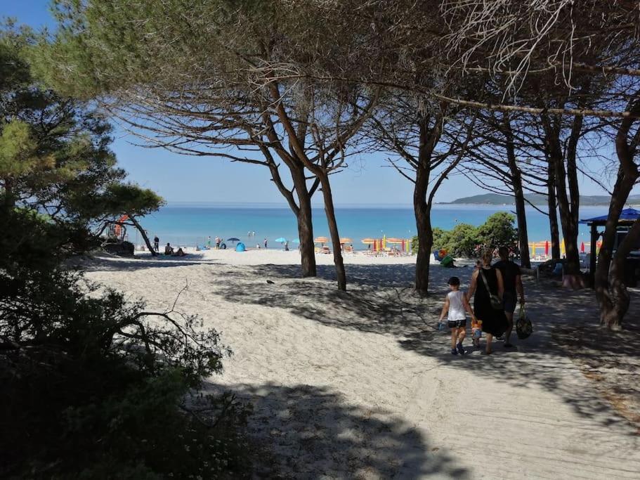 Palau Del Corso Lejlighed Alghero Eksteriør billede